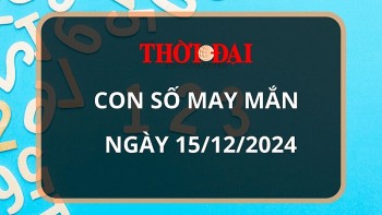 con so may man hom nay 15122024 12 con giap thin gap van doi doi trong chop mat