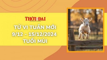 tu vi tuan moi 912 den 15122024 tuoi mui tinh duyen cong danh tai loc