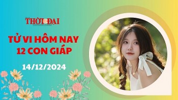 tu vi hom nay 12 con giap 14122024 ty co mot ngay thong dong nhe nhang