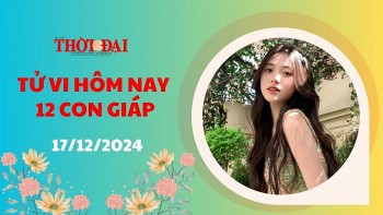 tu vi hom nay 12 con giap 17122024 tuat may man ngap loi