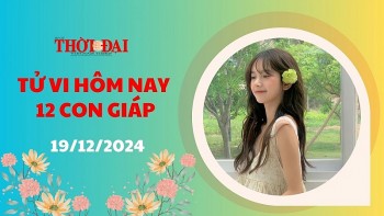 tu vi hom nay 12 con giap 19122024 ngo gap khong it rac roi
