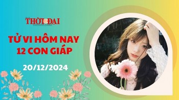 tu vi hom nay 12 con giap 20122024 mui dua ra quyet dinh sang suot ve tai chinh