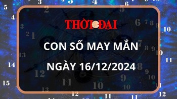 con so may man hom nay 16122024 12 con giap dan cat tinh soi duong dan loi