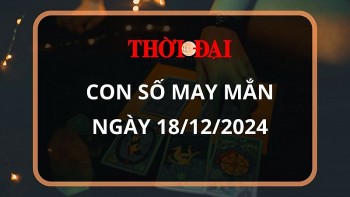 con so may man hom nay 18122024 12 con giap suu doi doi trong chop mat