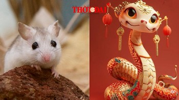 top con giap may man hom nay 12122024 ty vuong tai ty cat tinh xuat hien