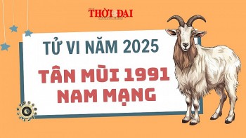 tu vi nam 2025 tuoi tan mui 1991 nam mang co hoi hay thach thuc