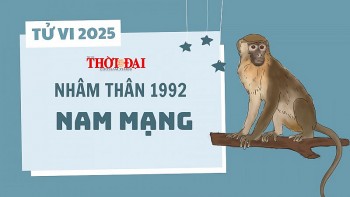 tu vi nam 2025 tuoi nham than 1992 nam mang kiem duoc nhieu tien nhung vat va tram be