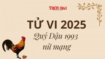 tu vi nam 2025 tuoi quy dau 1993 nu mang nam day su may man tien do