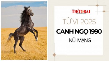 tu vi nam 2025 tuoi canh ngo 1990 nu mang thuan loi gap co may trong su nghiep