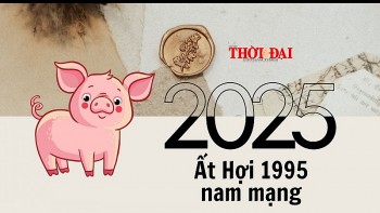 tu vi nam 2025 tuoi at hoi 1995 nam mang nam dau tam tai hao tinh chieu menh