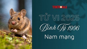 tu vi nam 2025 tuoi binh ty 1996 nam mang mot nam kha binh on