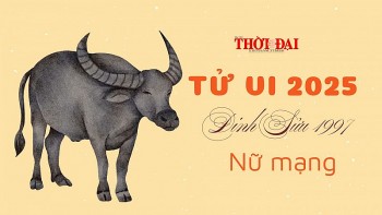 tu vi nam 2025 tuoi dinh suu 1997 nu mang doi mat voi nhieu thu thach