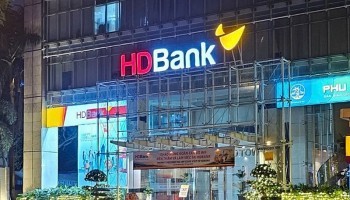 pho chu tich hoi dong quan tri hdbank xin tu nhiem