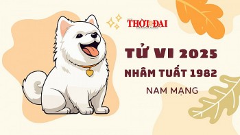 tu vi nam 2025 tuoi nham tuat 1982 nam mang mot nam thanh cong ruc ro ve moi mat