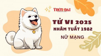 tu vi nam 2025 tuoi nham tuat 1982 nu mang mot nam tuong doi binh on