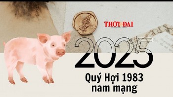 tu vi nam 2025 tuoi quy hoi 1983 nam mang nhieu trac tro vat va