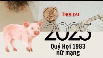 tu vi nam 2025 tuoi quy hoi 1983 nu mang suc khoe gia dao cong danh su nghiep