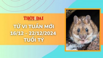 tu vi tuan moi 1612 den 22122024 tuoi ty tinh duyen cong danh tai loc