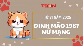 tu vi nam 2025 tuoi dinh mao 1987 nu mang nam dau tam tai tot xau dan xen