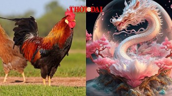 top con giap may man hom nay 17122024 thin an nen lam ra dau van may ap toi