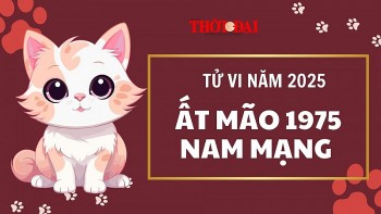 tu vi nam 2025 tuoi at mao 1975 nam mang duong dau mot vai kho khan tro ngai
