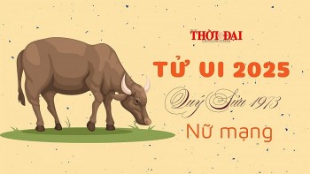 tu vi nam 2025 tuoi quy suu 1973 nu mang on dinh nhieu co may trong cong viec