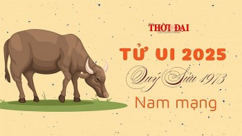 tu vi nam 2025 tuoi quy suu 1973 nam mang gap nhieu co hoi tot phat trien su nghiep