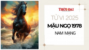 tu vi nam 2025 tuoi mau ngo 1978 nam mang nam nhe nhang khong co bon chen