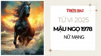 tu vi nam 2025 tuoi mau ngo 1978 nu mang doi mat voi nhieu bien dong trong cong viec va su nghiep