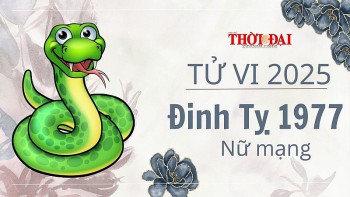 tu vi nam 2025 tuoi dinh ty 1977 nu mang nam tuoi doi mat voi truc thai tue