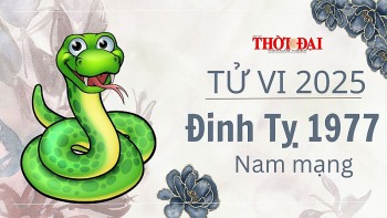 tu vi nam 2025 tuoi dinh ty 1977 nam mang kho khan hao ton tien bac