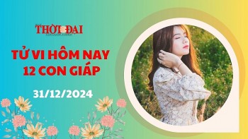tu vi hom nay 12 con giap 31122024 ngay cuoi nam day bat ngo