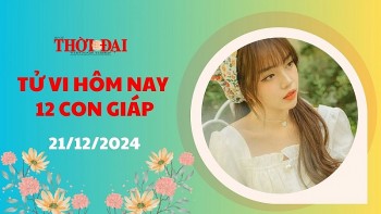 tu vi hom nay 12 con giap 21122024 than tai mang den co hoi kiem tien cho tuoi mao