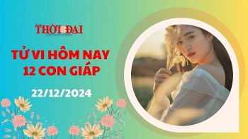 tu vi hom nay 12 con giap 22122024 mui de vuong thi phi ngay cuoi tuan