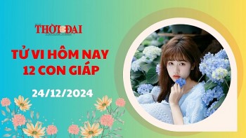 tu vi hom nay 12 con giap 24122024 than don tin vui tinh duyen dung ngay noel