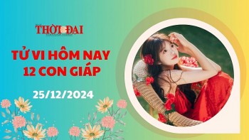 tu vi hom nay 12 con giap 25122024 thin co buoc tien quan trong tren duong cong danh
