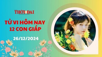 tu vi hom nay 12 con giap 26122024 mao gap nhieu may man trong cong viec