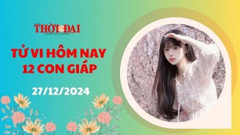 tu vi hom nay 12 con giap 27122024 tuat tai chinh du da