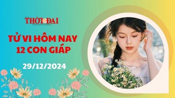 tu vi hom nay 12 con giap 29122024 ty nhan duoc nhieu su ung ho hau thuan