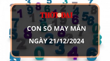 con so may man hom nay 21122024 12 con giap con giap nao se phat tai