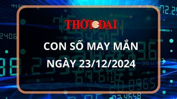 con so may man hom nay 23122024 12 con giap ty nhan duoc nhieu loc tu ben ngoai