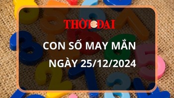 con so may man hom nay 25122024 12 con giap tuat thanh cong moi phuong dien