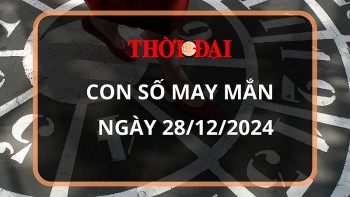 con so may man hom nay 28122024 12 con giap suu may man trong thay lam gi cung thanh cong