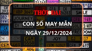 con so may man hom nay 29122024 12 con giap hoi cat tinh soi duong dan loi