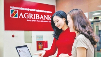 agribank bao loi nhuan truoc thue nam 2024 tang truong hon 8