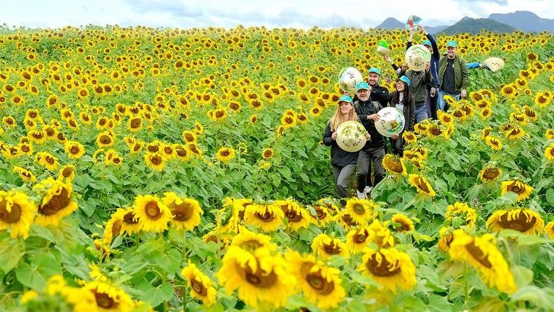 Nghệ An triển khai nhiệm vụ thông tin đối ngoại năm 2025: đổi mới, chủ động, hiệu quả