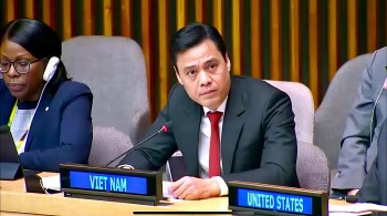 viet nam bat dau nhiem ky thanh vien hoi dong chap hanh un women nhiem ky 2025 2027