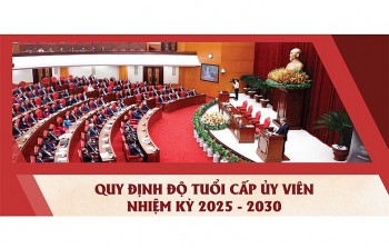 quy dinh do tuoi cap uy vien nhiem ky 2025 2030