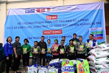 ho tro giong ngo va phan bon cho nguoi dan ha giang