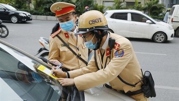doi giay phep lai xe bi tuoc bang do vi pham khi nao duoc cap doi